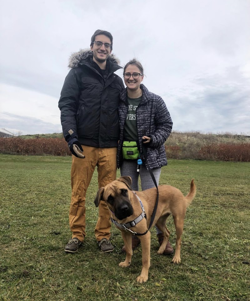 My Sidekick Dog Training photo 2