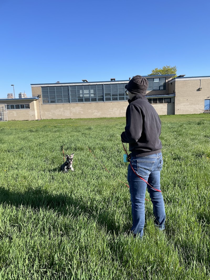 My Sidekick Dog Training photo 3