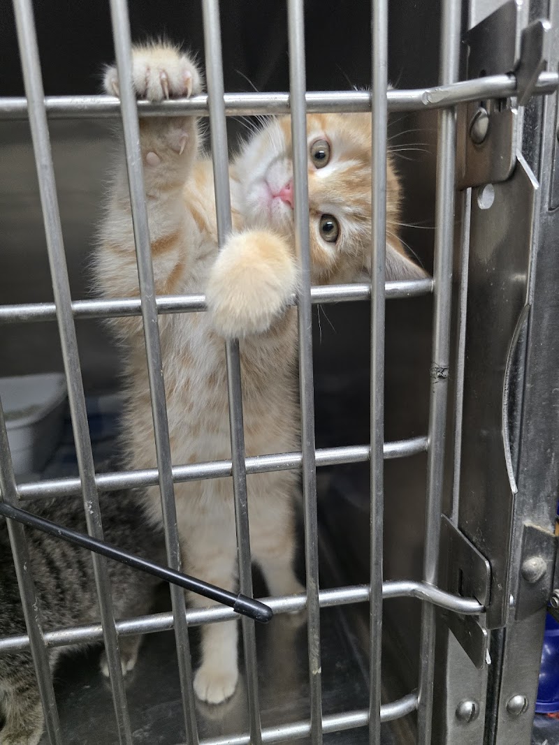 Animal Welfare League of Montgomery County