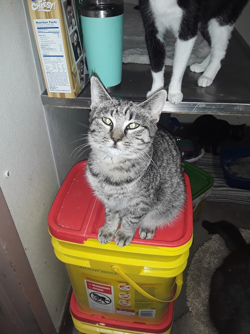 Animal Welfare League of Montgomery County photo 2