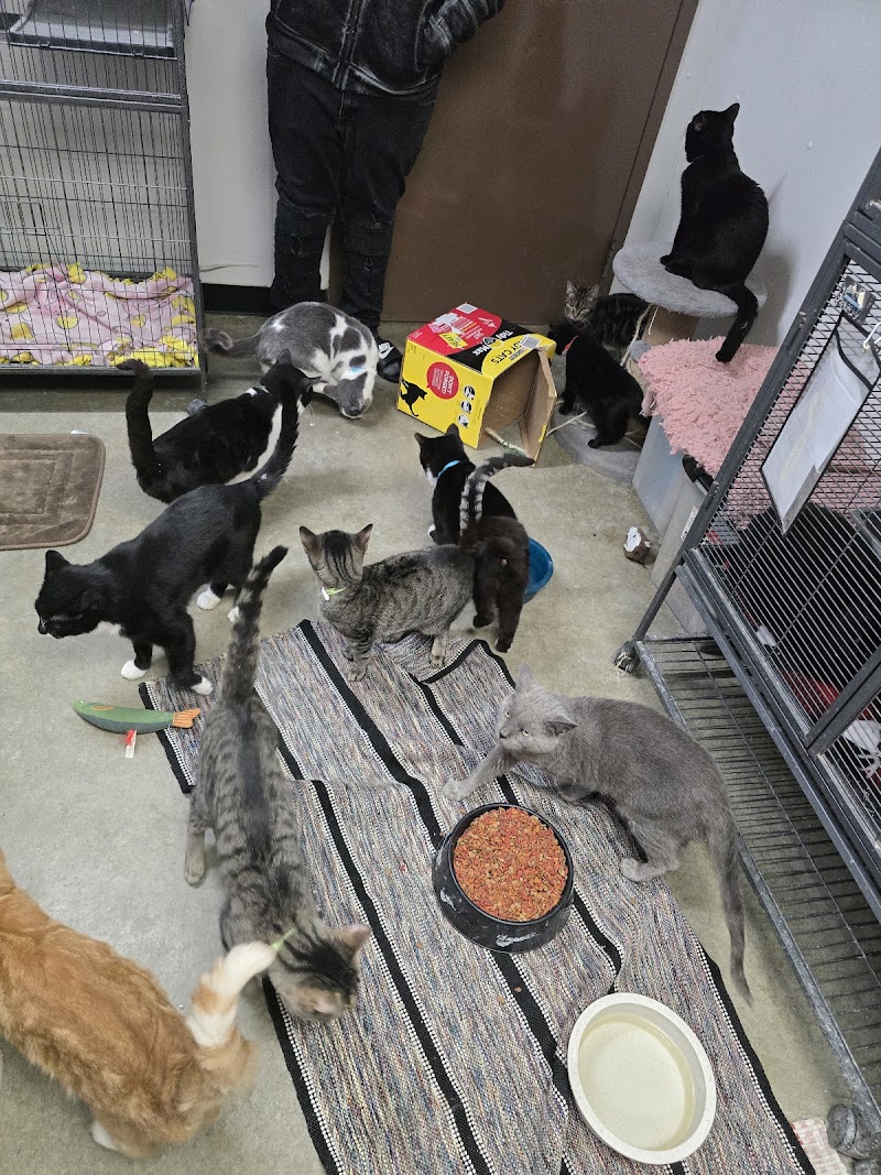 Animal Welfare League of Montgomery County photo 3