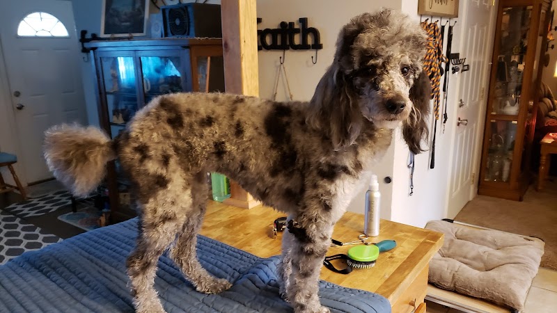 Ruff Lyfe Dog Training