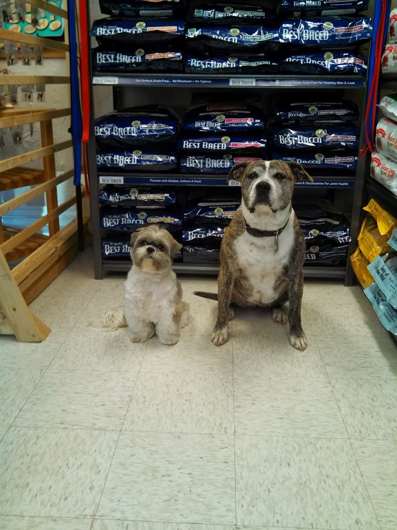 Alpha-Dog Pet Centers photo 3