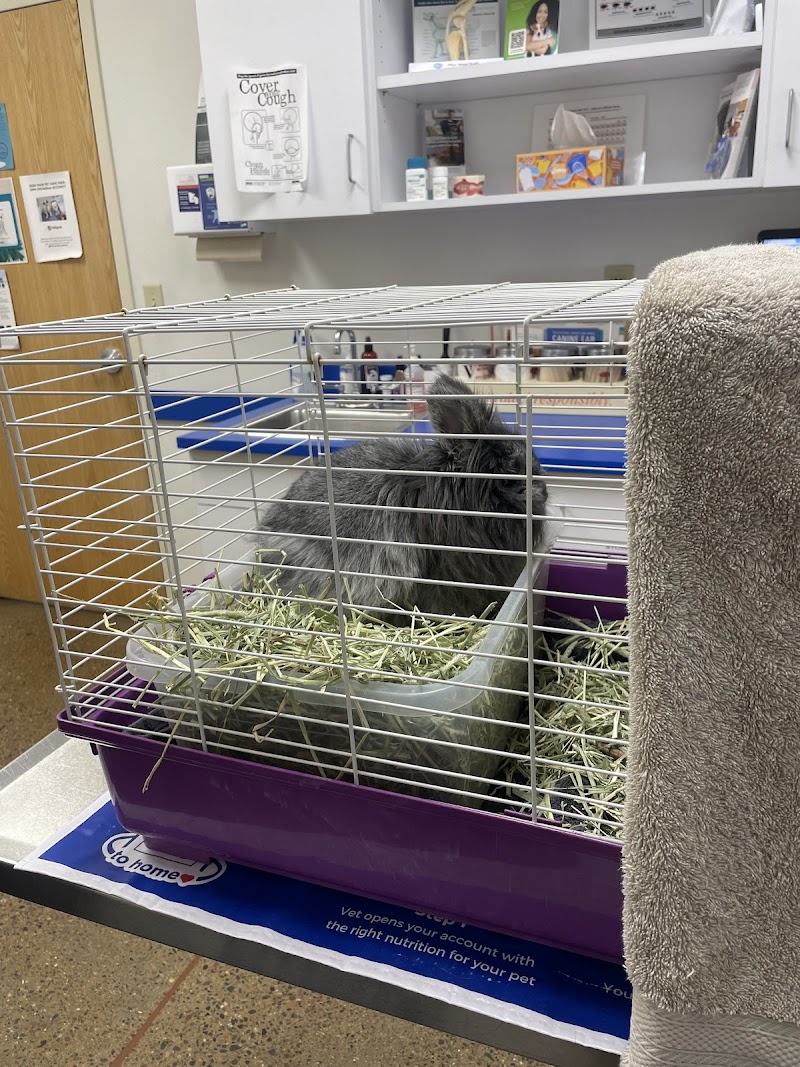 Pet Central Animal Hospital photo 2