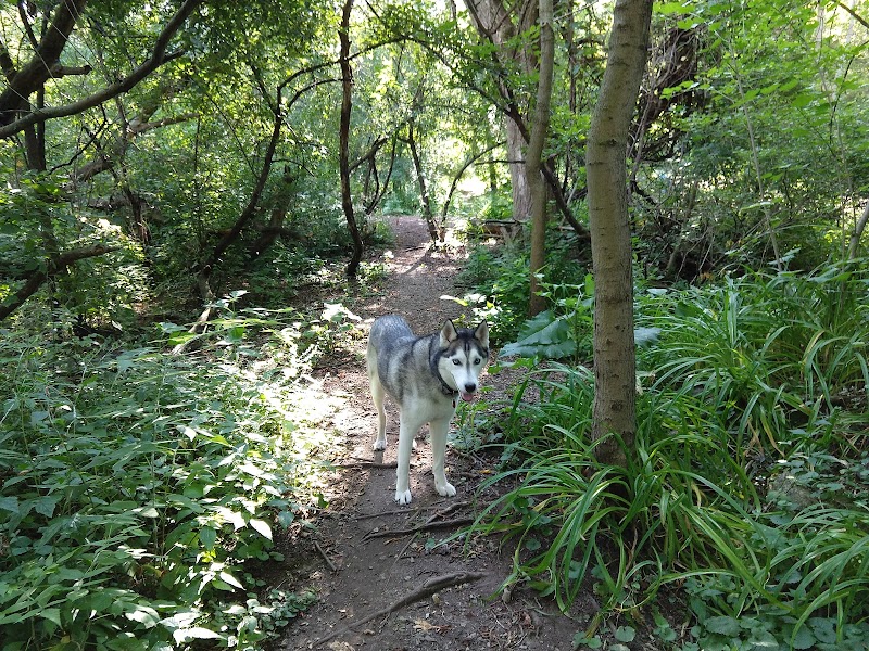Warnimont Dog Park photo 2