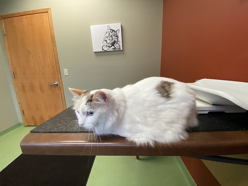 Lake Harriet Veterinary