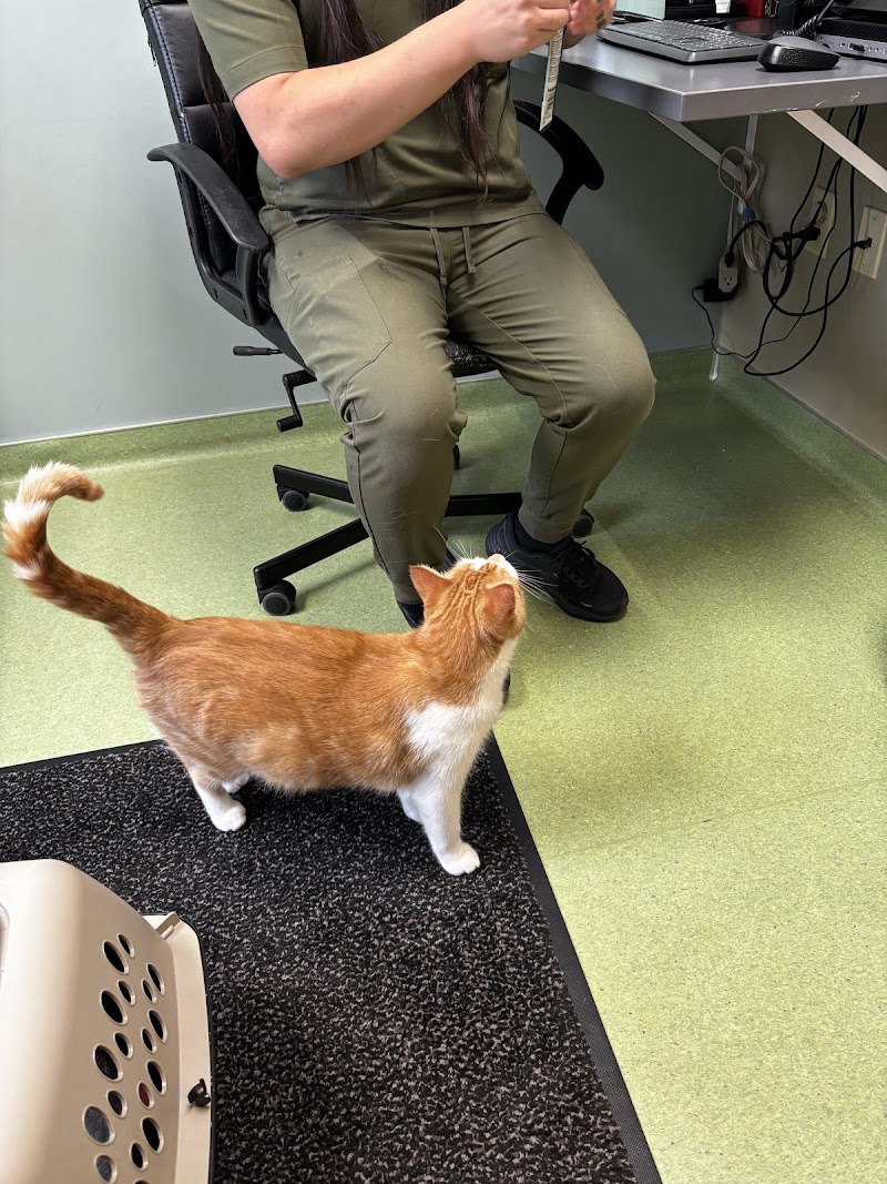 Lake Harriet Veterinary photo 3