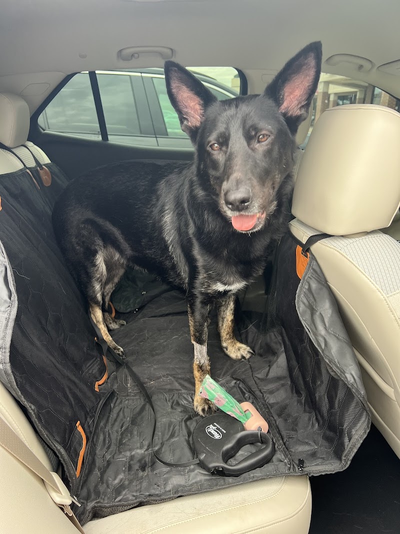 Animal Emergency Center - Rochester photo 3