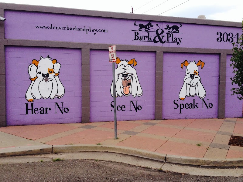 Bark and Play Denver Dog Daycare and Boarding photo 3