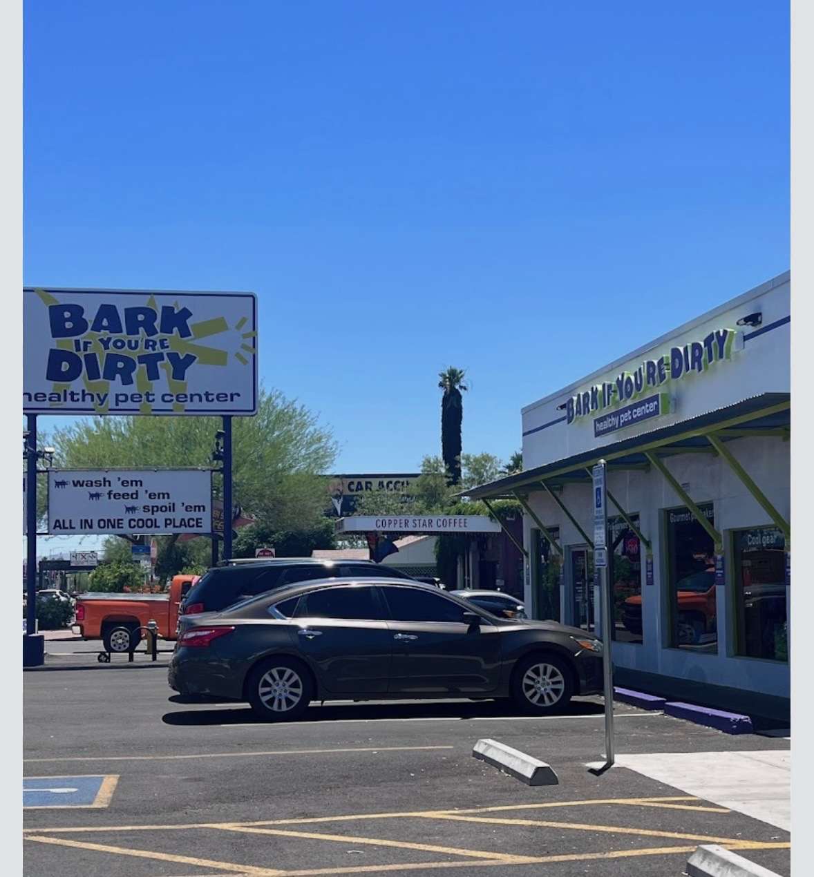 Bark If You’re Dirty - Phoenix