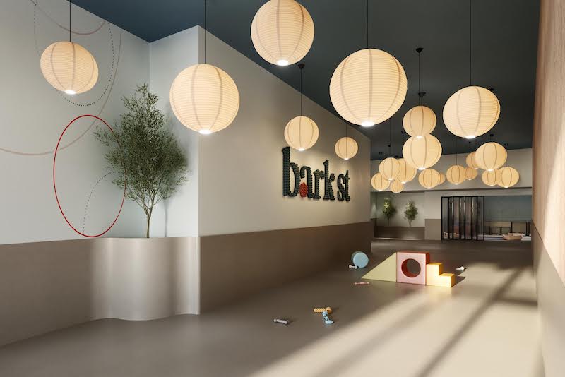 Bark Street - Dog Daycare & Grooming