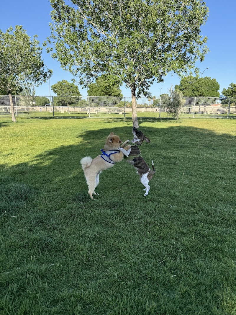 Barkin Basin Park photo 2