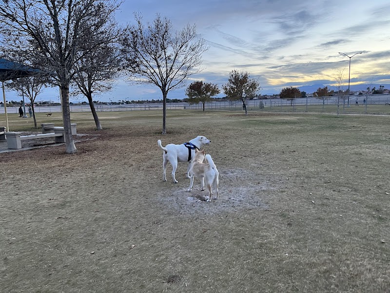 Barkin Basin Park photo 3