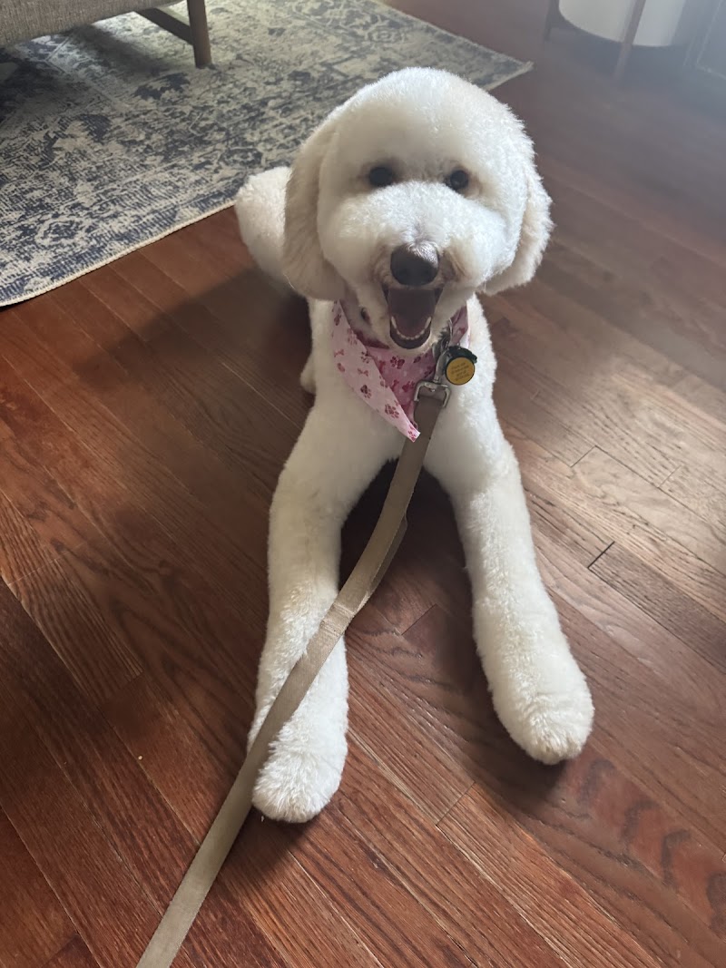 Barkin' Creek Dog Kitchen & Bath - Lamar photo 2