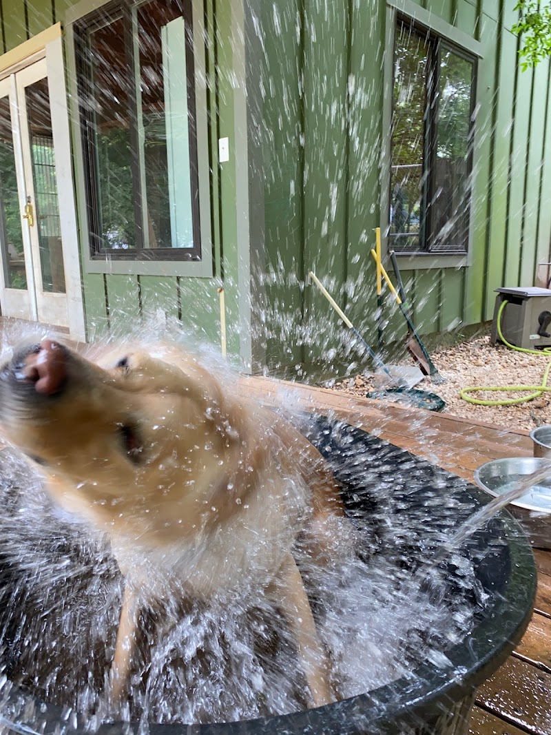 Barking Springs Dog Ranch photo 3