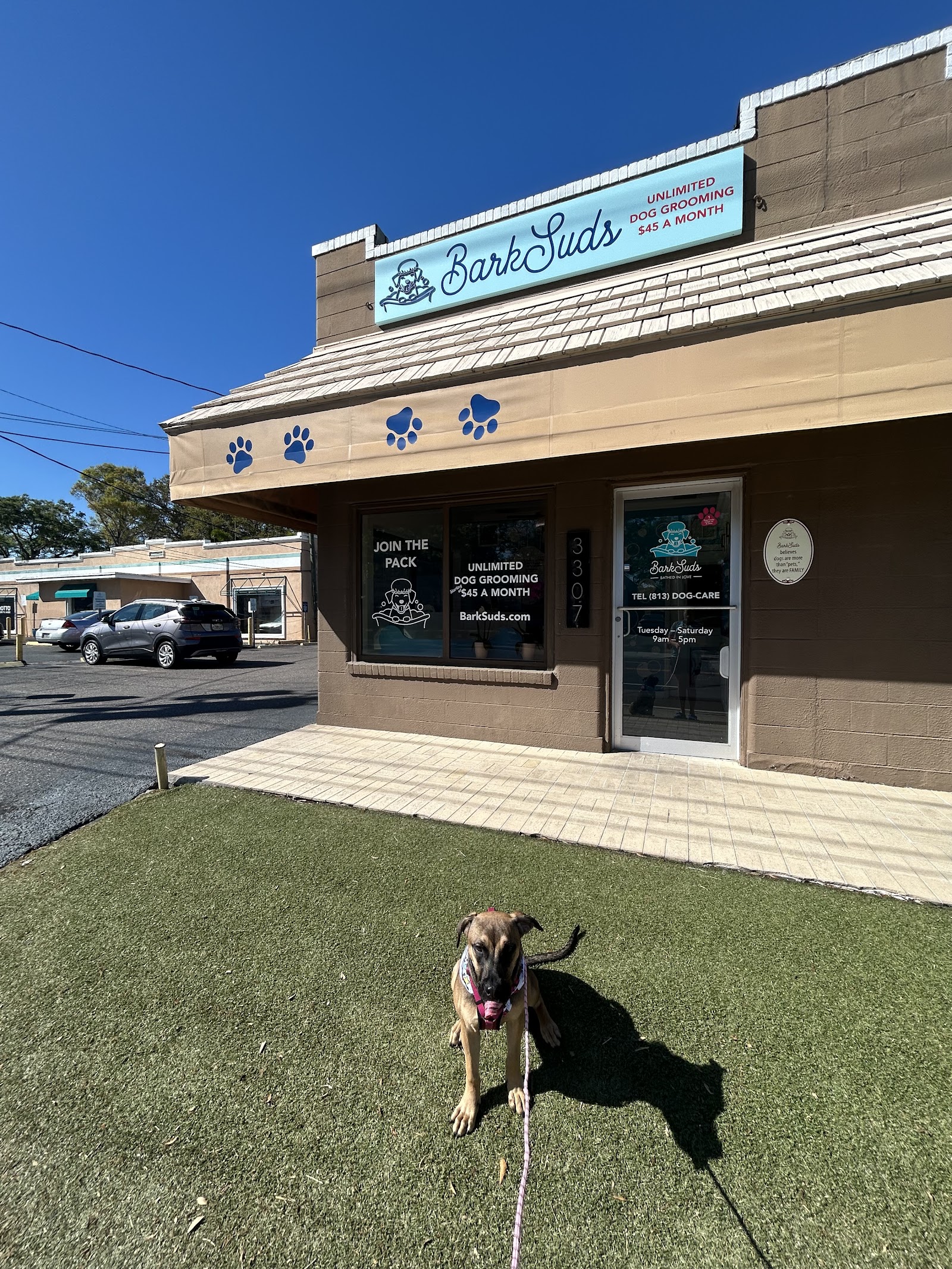 BarkSuds