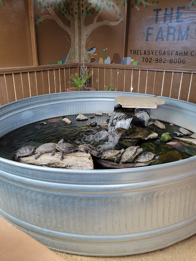 Barn Buddies Rescue photo 3