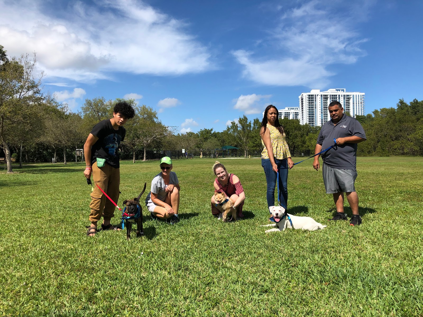 Bauser's Pet Training