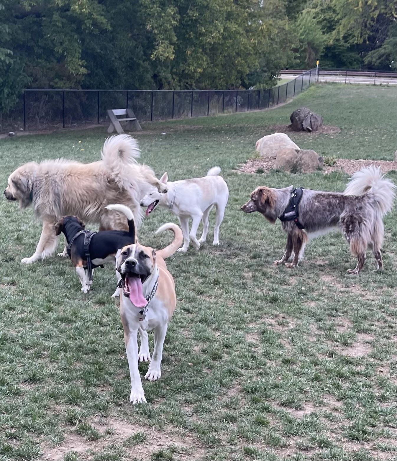 Bay View Dog Exercise Area | Managed by the City of Milwaukee