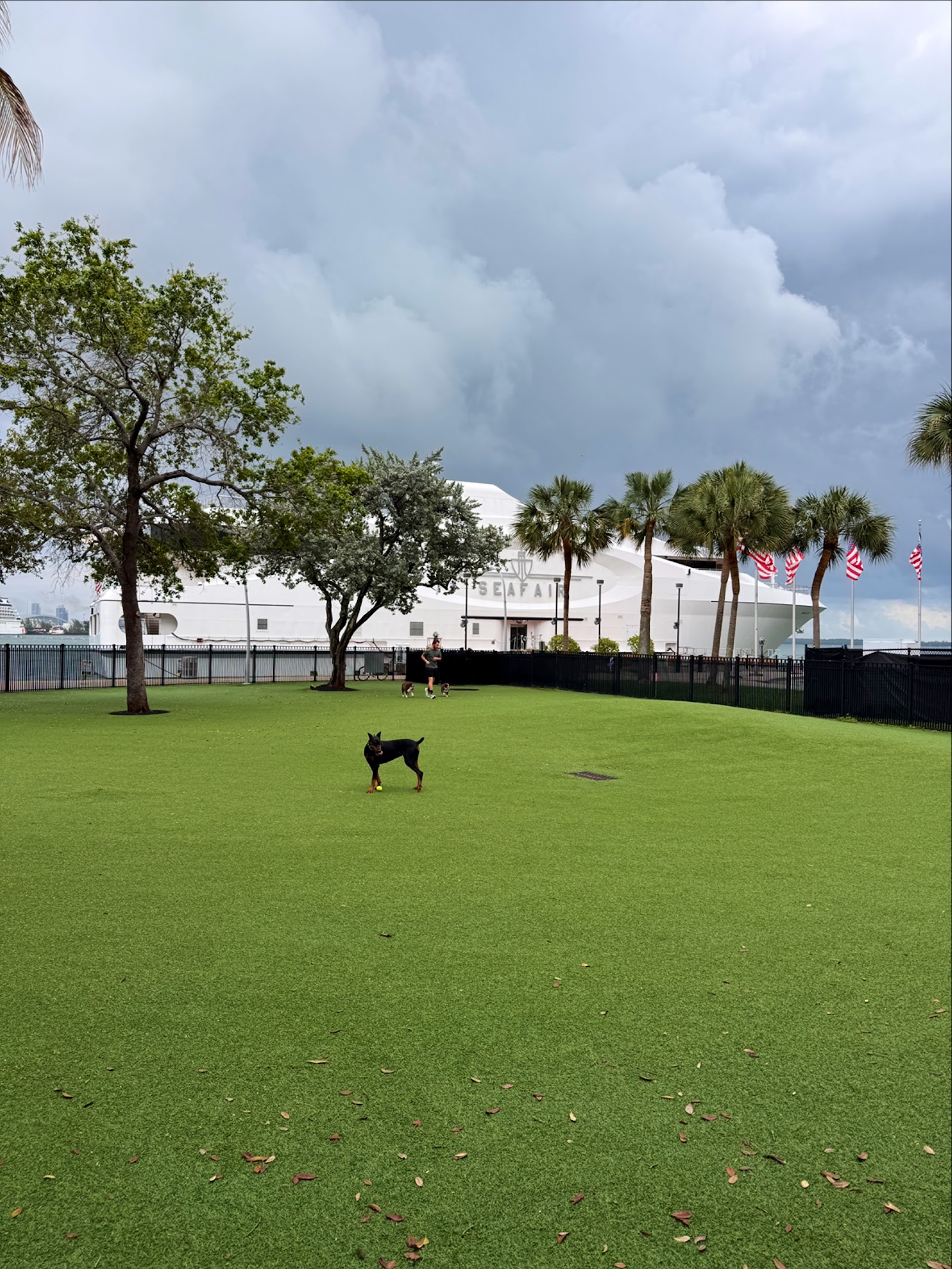 Bayfront Dog Park