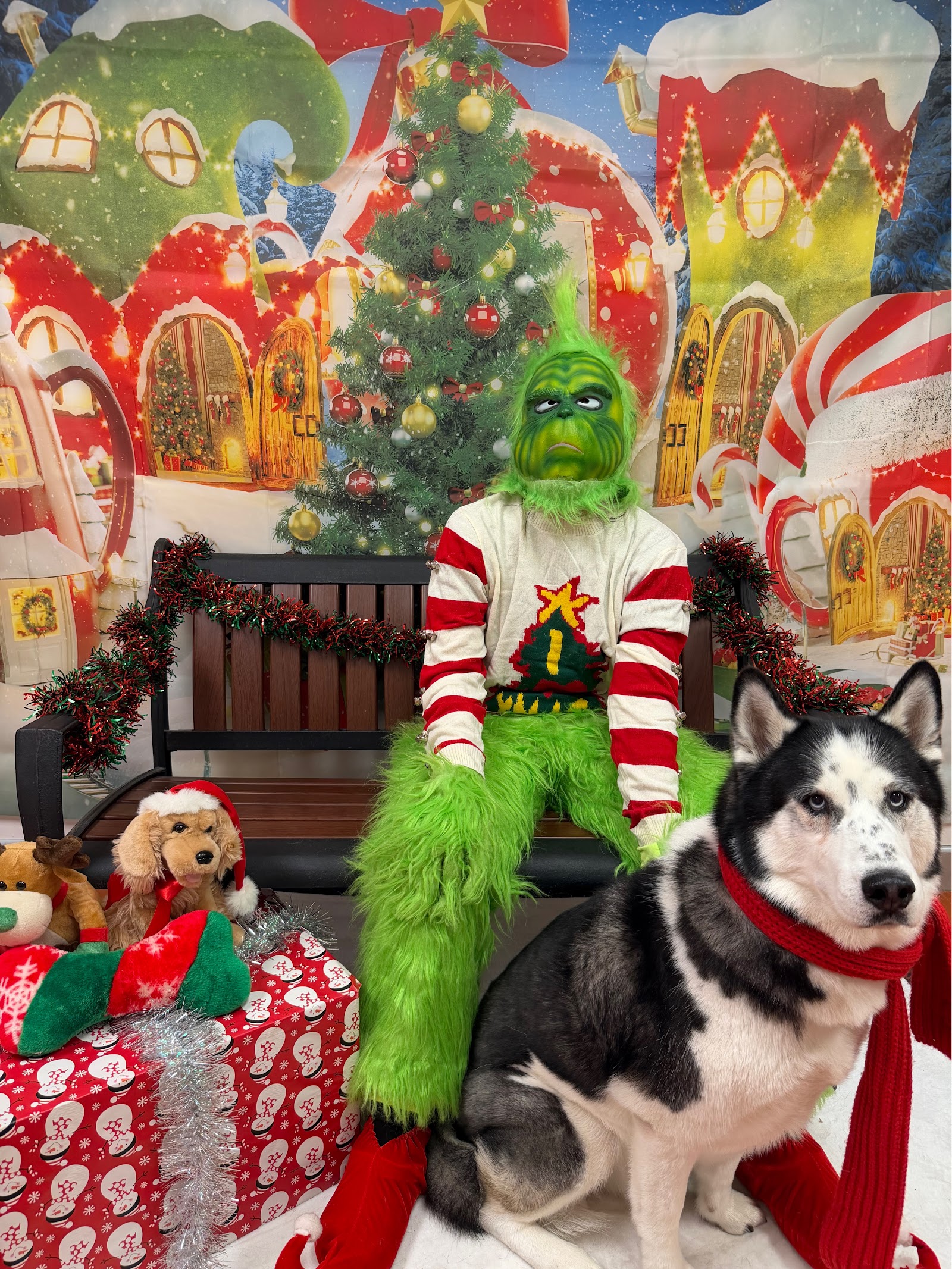 Bayshore Pet Resort