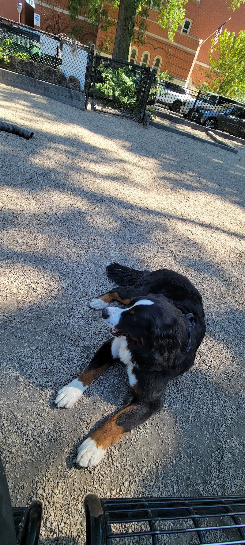 Hamlin Dog Park photo 2