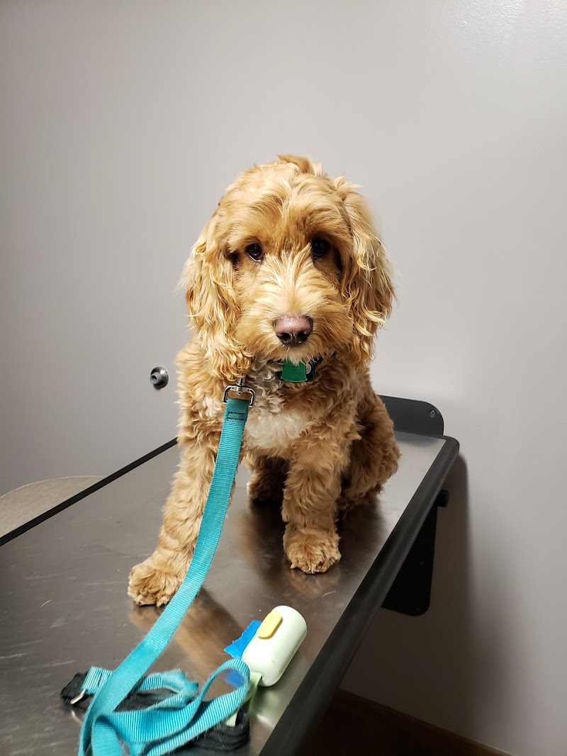 Greenfield Veterinary Clinic