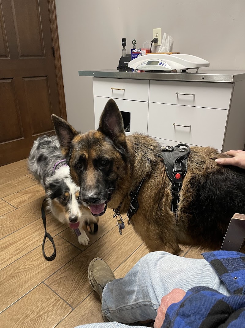 Greenfield Veterinary Clinic photo 2