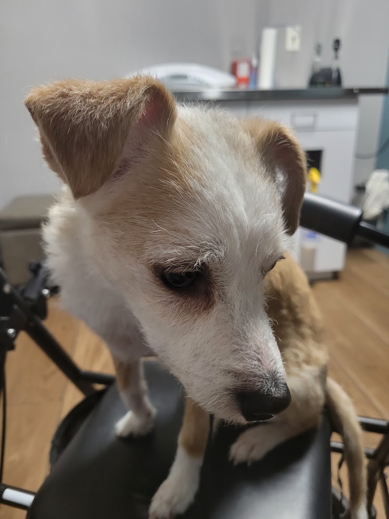 Greenfield Veterinary Clinic photo 3