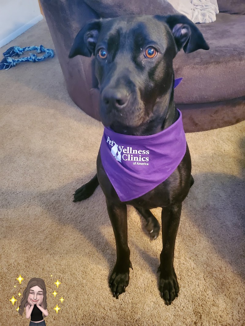 Pet Wellness Clinics photo 2