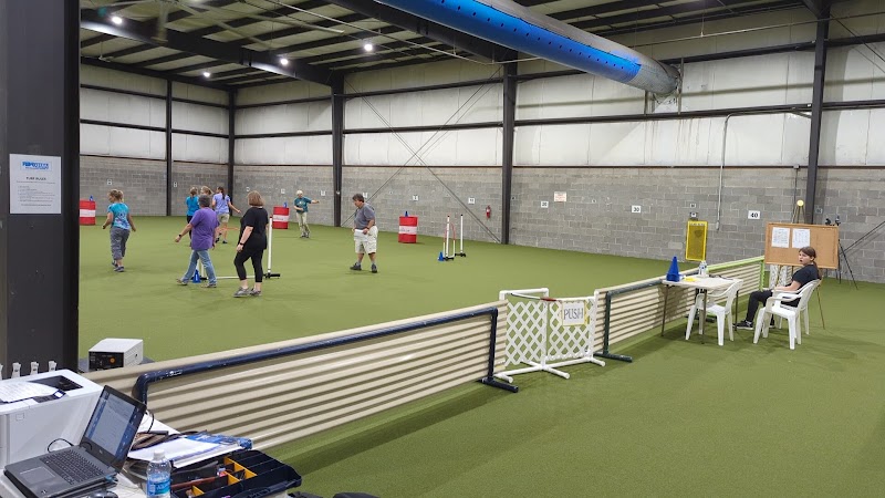 Pawsitive Partners Dog Training Center