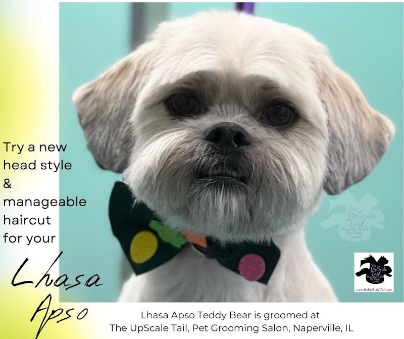The UpScale Tail Pet Grooming - Naperville