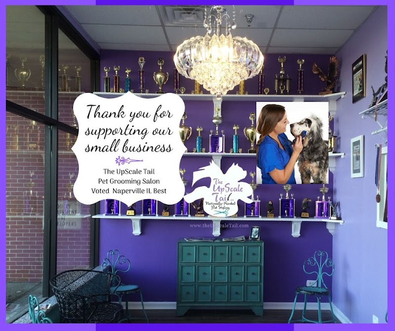 The UpScale Tail Pet Grooming - Naperville photo 2
