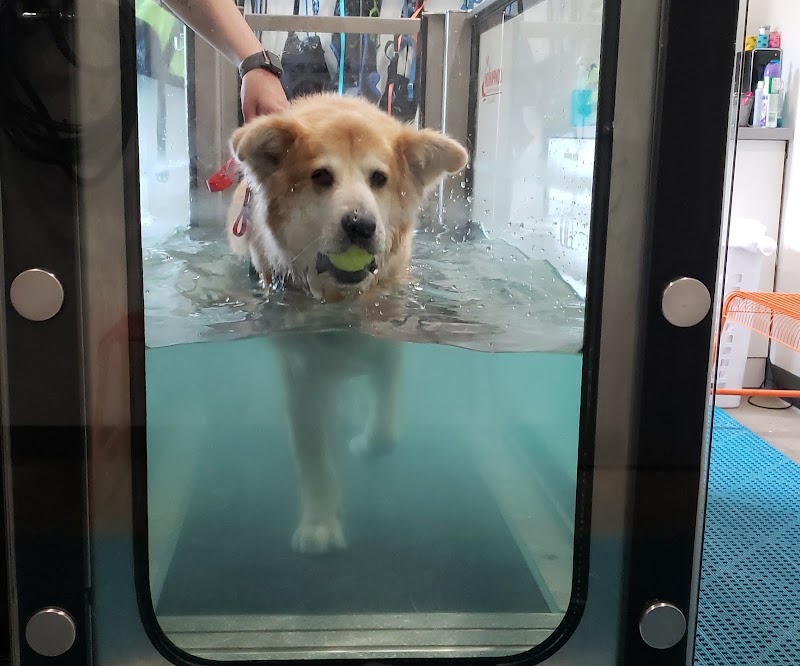 Beach Animal Rehabilitation photo 2