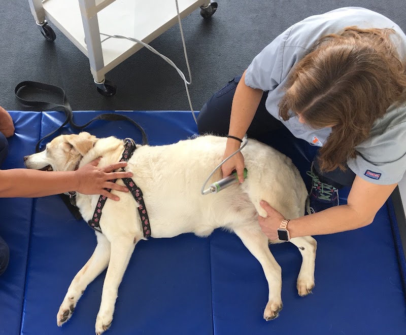 Beach Animal Rehabilitation photo 3