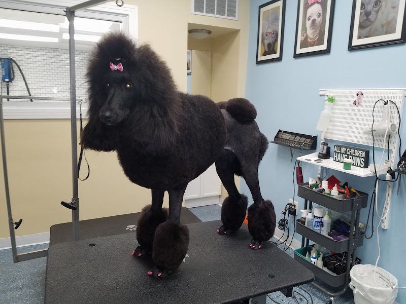 Animal Lovers Pet Salon photo 3