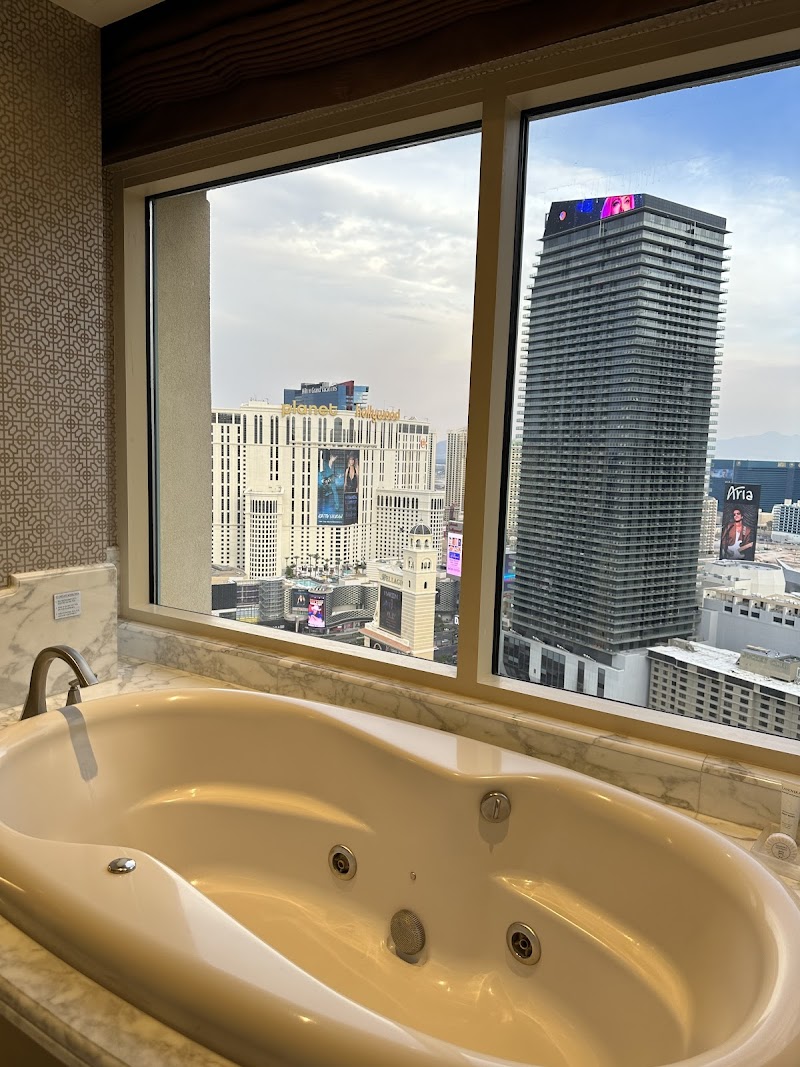 Bellagio Hotel & Casino photo 3