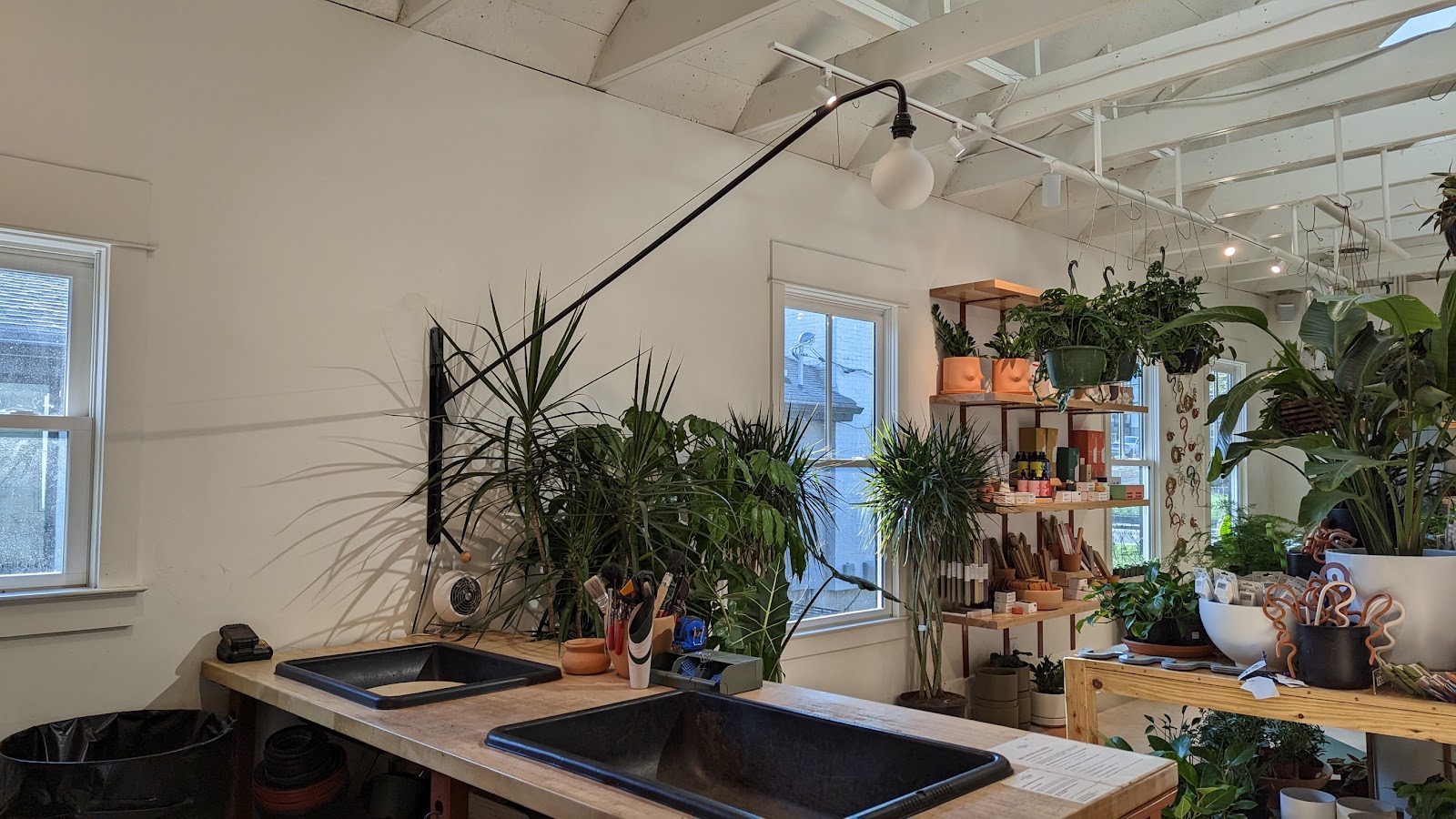 Bellwood Coffee - East Atlanta Village