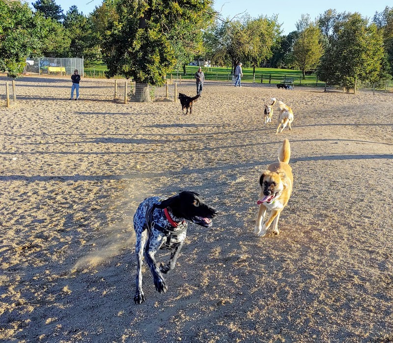 Berkeley Dog Park photo 2