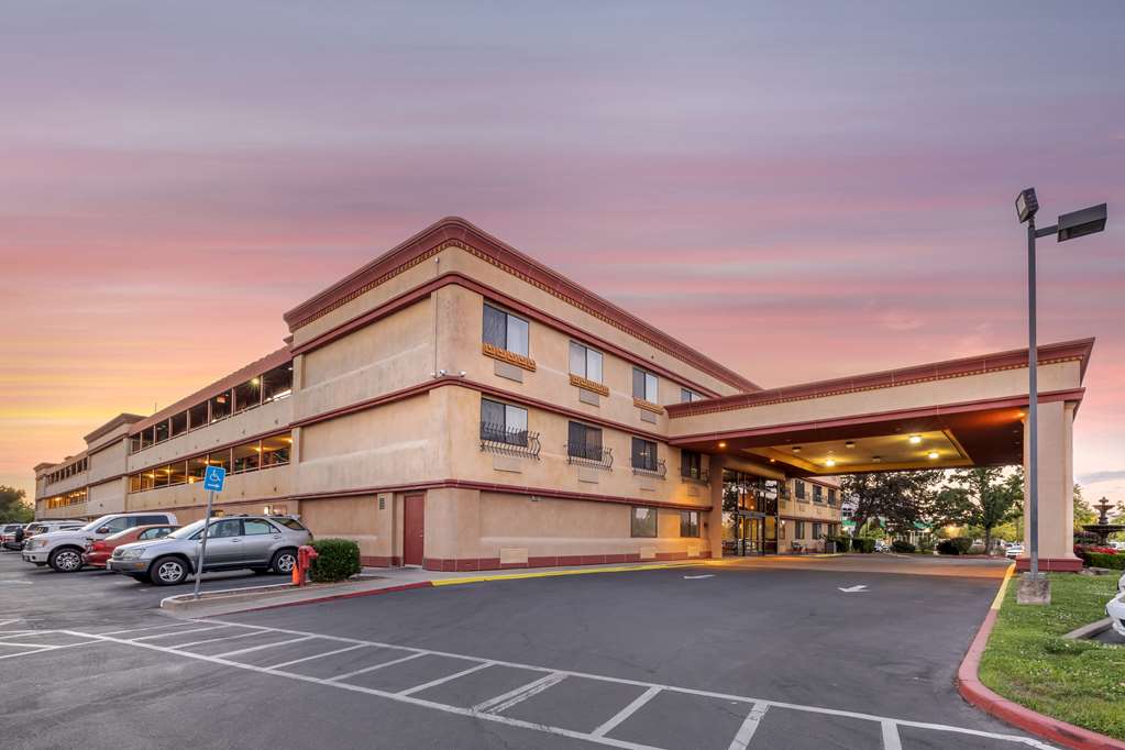 Best Western Plus Orchid Hotel & Suites