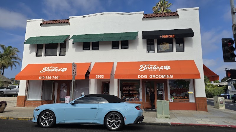 Besties DogSpa photo 2