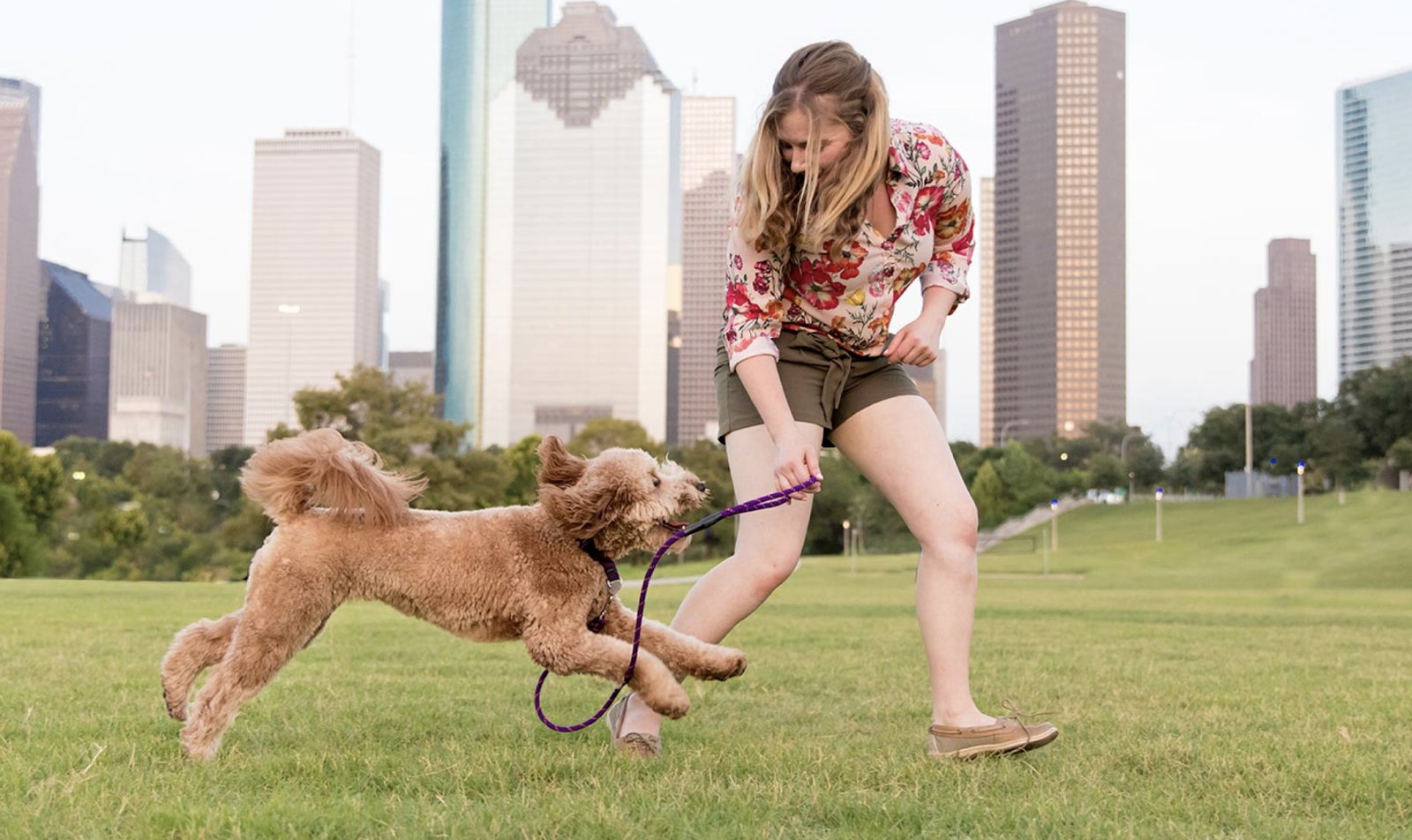 Beyond the Dog, LLC