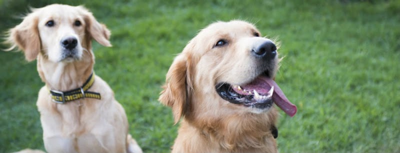 Beverly Hills Veterinary Associates