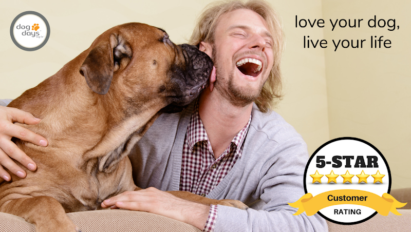 Dog Days Daycare & Boarding - Grand Ave