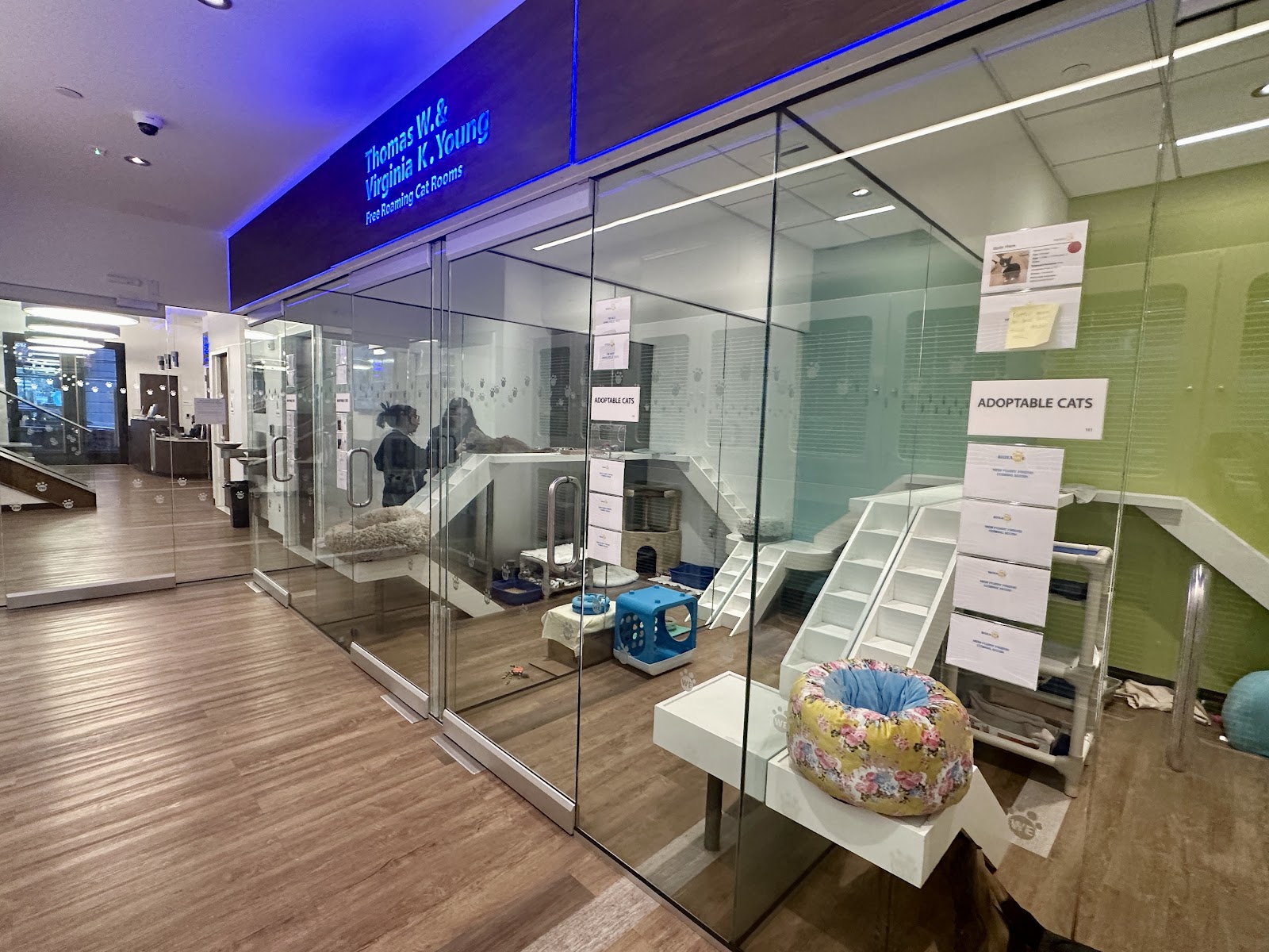 Bideawee Pet Adoption Center