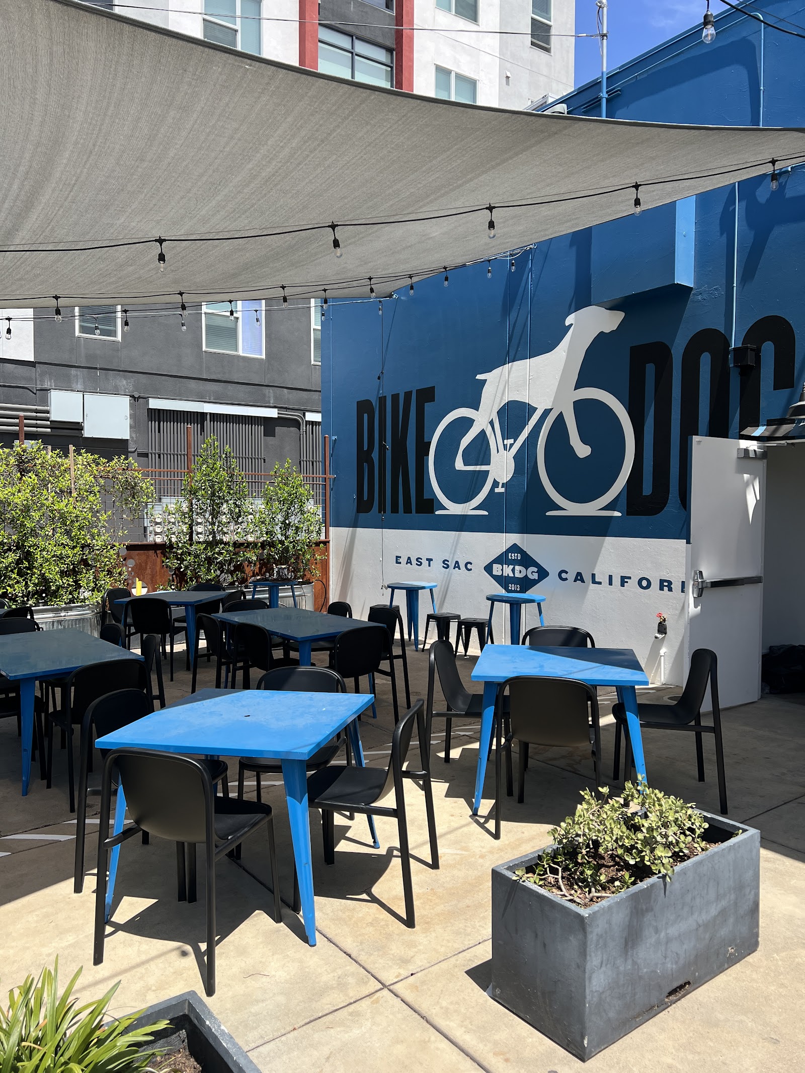 Bike Dog Brewing East Sac