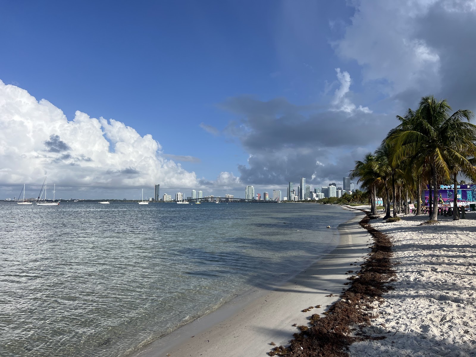 Biscayne Dog Friendly Beach