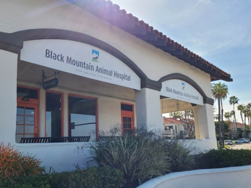 Black Mountain Animal Hospital - Rancho Peñasquitos, San Diego Veterinarian