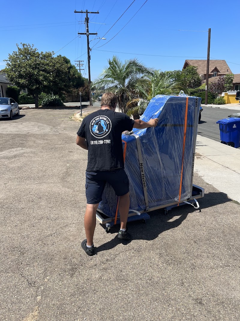 Blue Dog Moving – San Diego photo 2