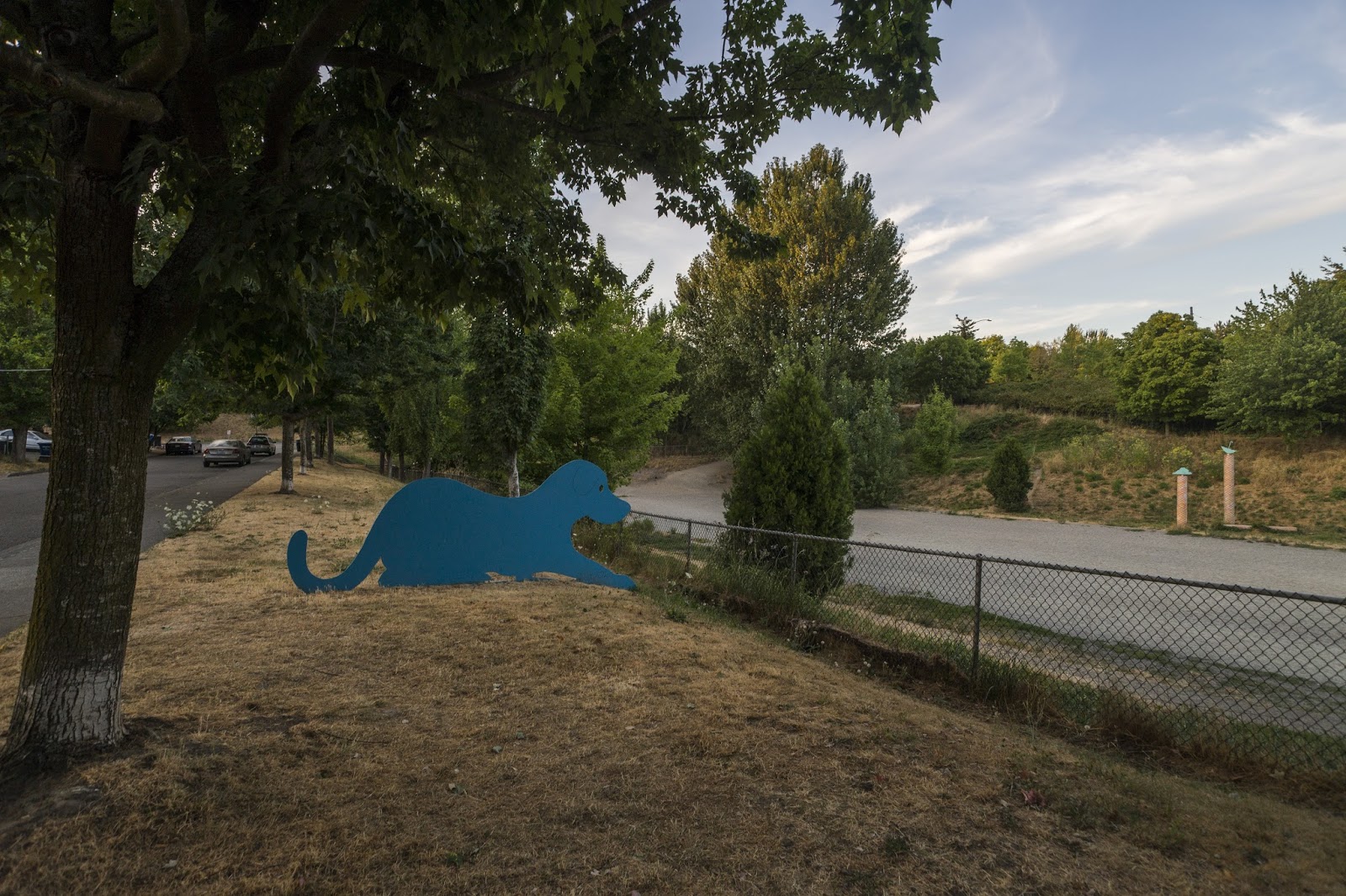 Blue Dog Pond